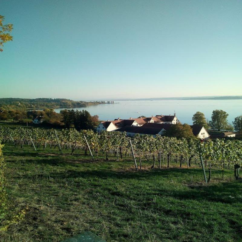 Ferienwohnung Am Bodensee Uhldingen-Mühlhofen Esterno foto
